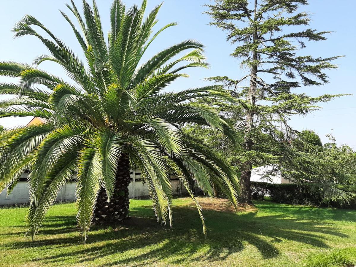 Casa De Verano La Gaviota En Asturias Villaviciosa  Ngoại thất bức ảnh